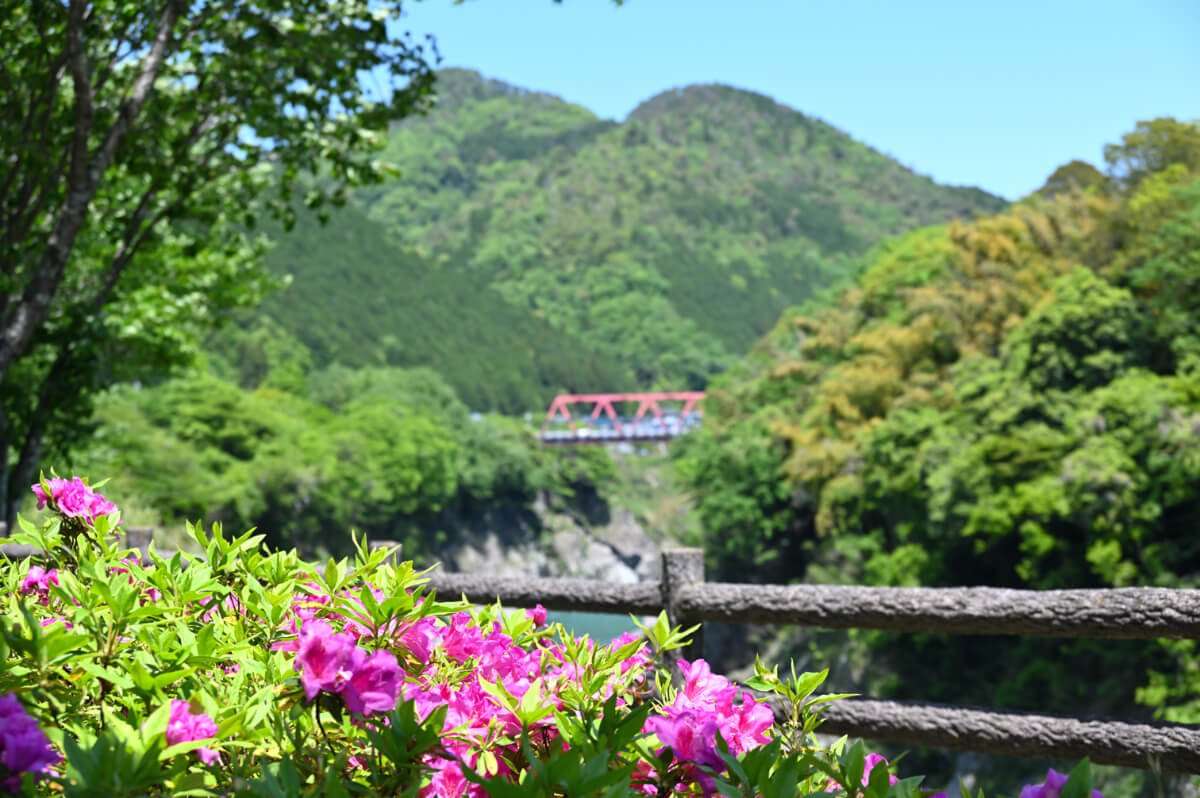 @Hisui Gorge, Kamo District, Gifu in May